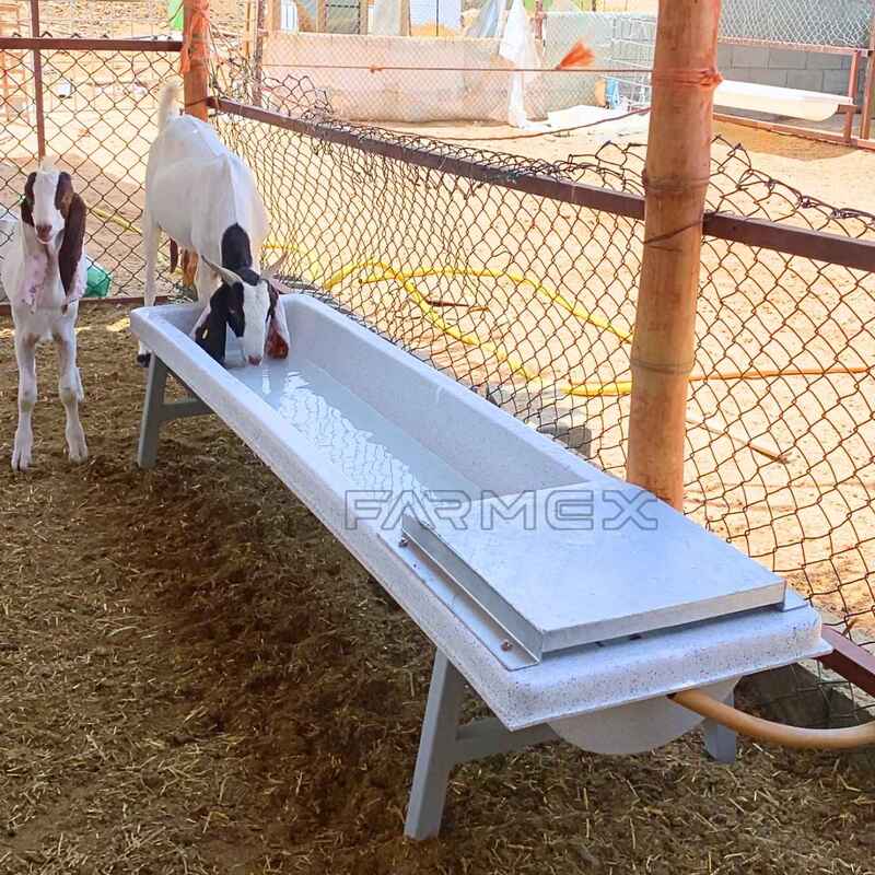 Automatic Drinker 100 Liter for Sheep