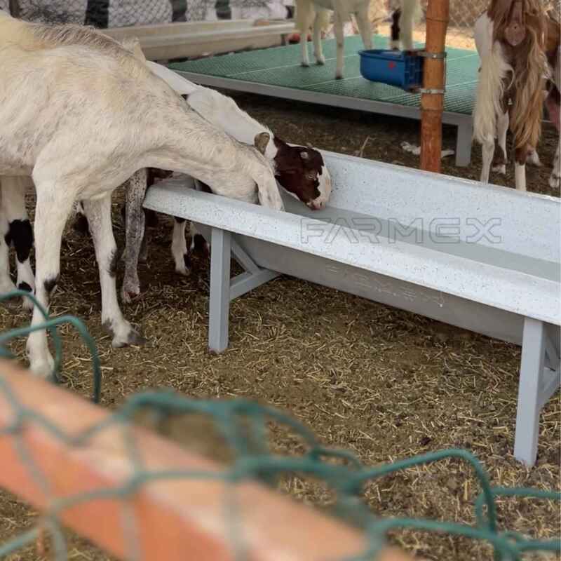 Automatic Drinker 110 Liter for Sheep