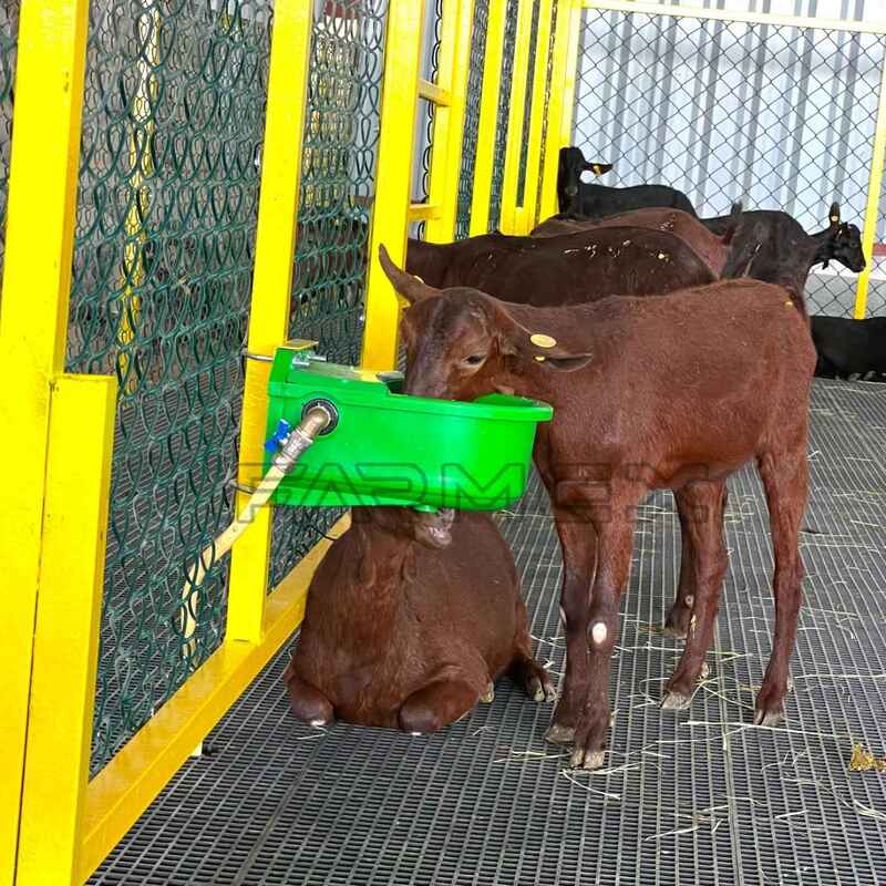 Automatic Drinker 4 Liter