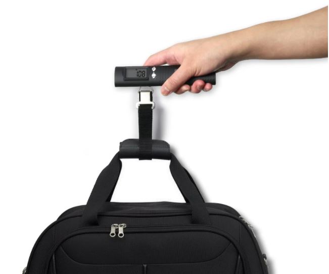 Handheld Digital Weighing Scale