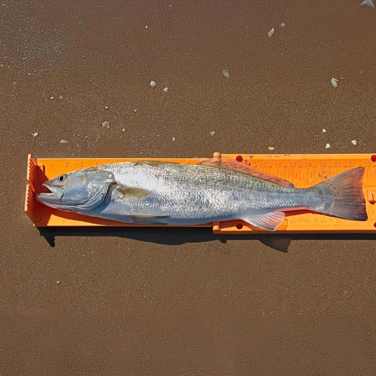 YAKGEAR Fish Stik - Lime Green