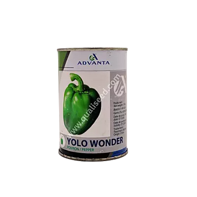 SWEET PEPPER YOLO WONDER_ADVT