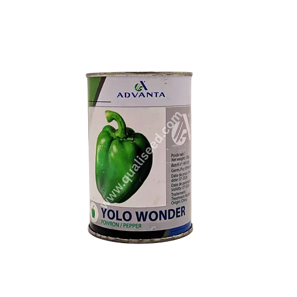 SWEET PEPPER YOLO WONDER_ADVT