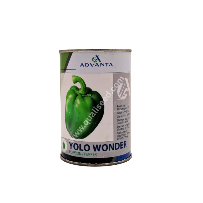 SWEET PEPPER YOLO WONDER_ADVT