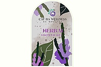 Herbal Shower Gel