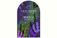 Herbal Shampoo