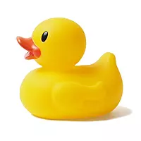 Dancing & Singing Duck Toy