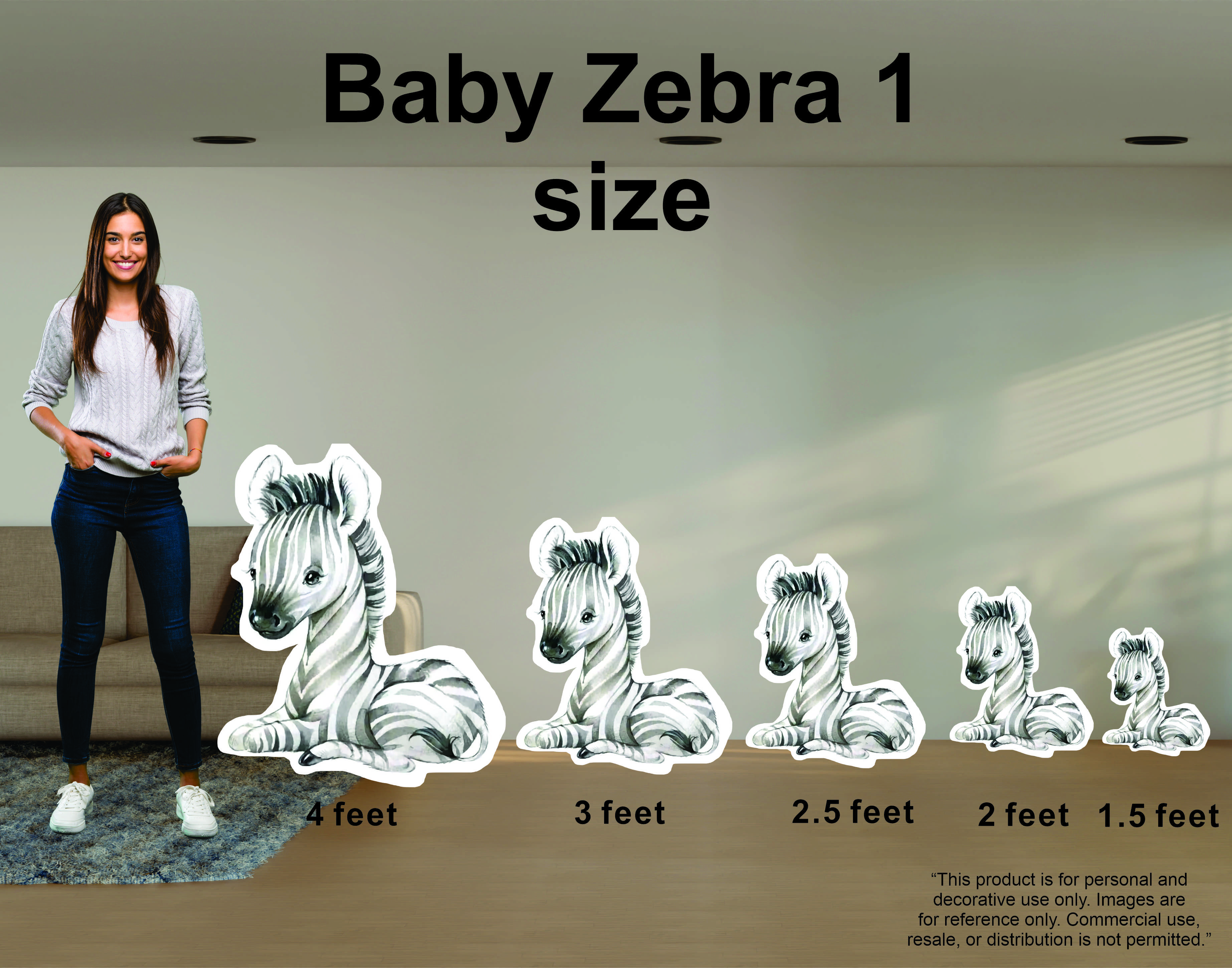 Baby Zebra Baby Zebra