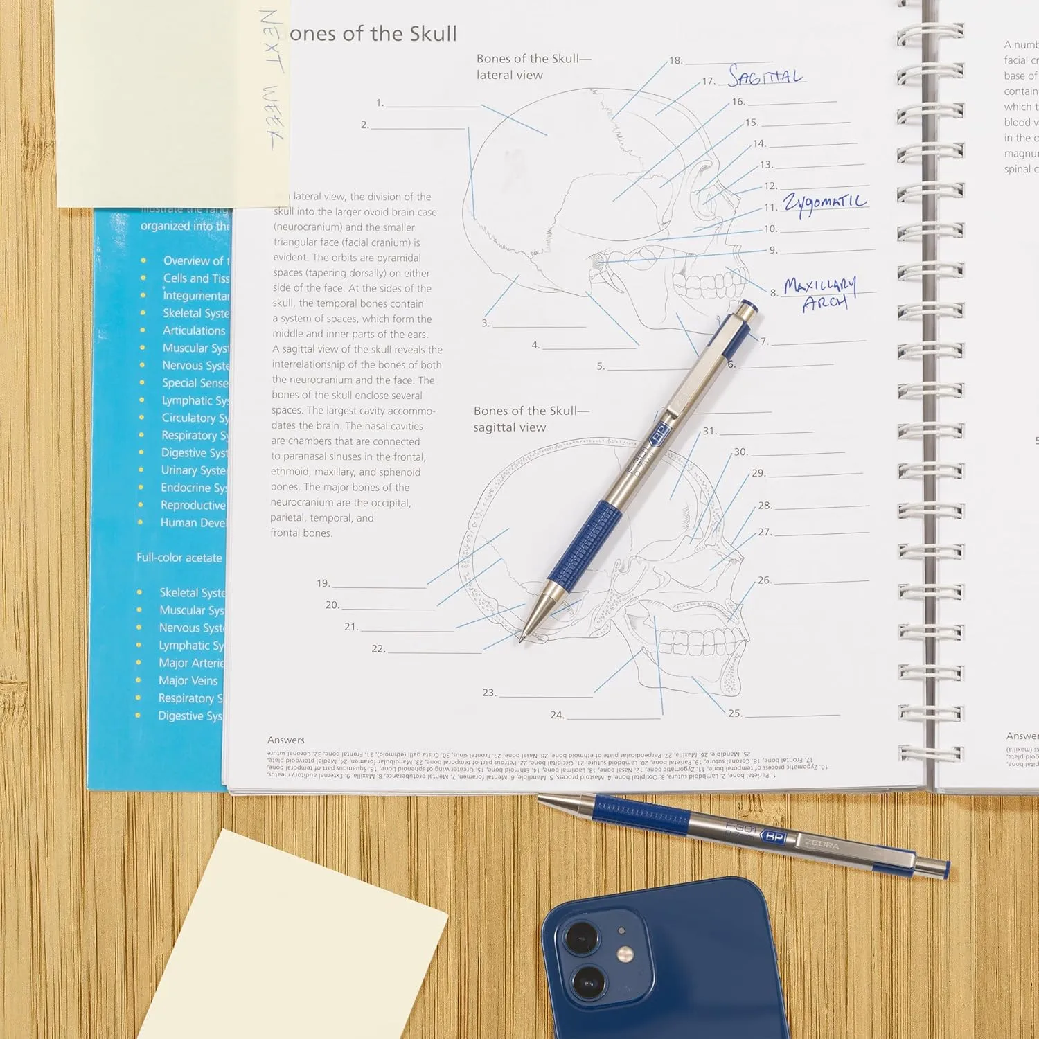 Zebra Pen F-301 Retractable Ballpoint Pen, Fine 0.7mm, Stainless Steel Barrel, Blue Ink, 2-Pack