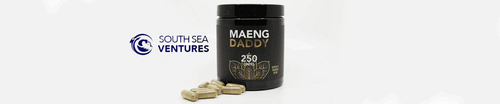 south sea ventures south sea ventures