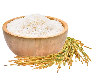 Rice Bowl